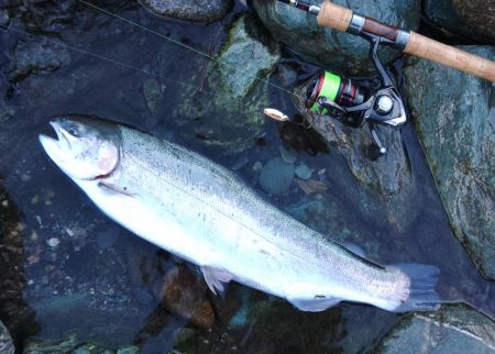 なんとかつ抜け ～天竜川ルアーフライ専用区…